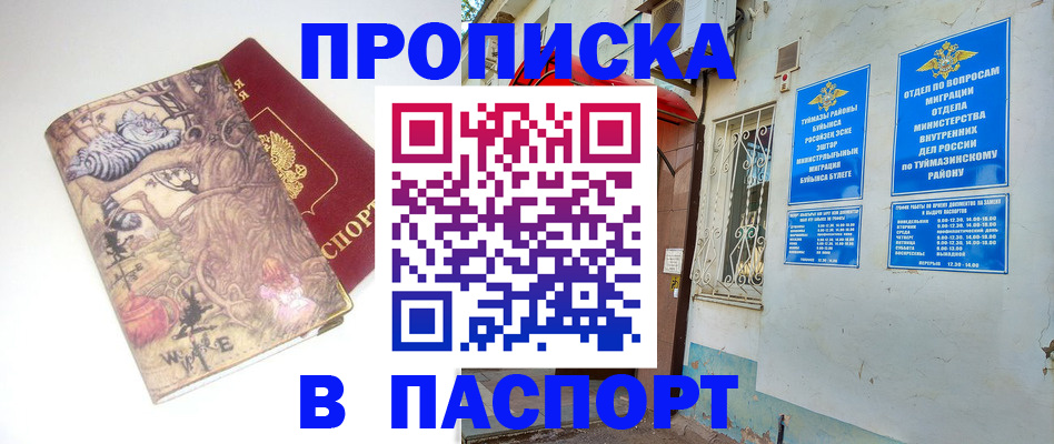 пропишу в квартире в Лесном